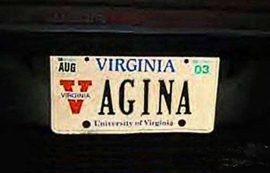 AGINA license plate of America